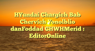 HYundai Chargich Bab Chervich Yonolblio danFoddad CHWHMerid : EditorOnline