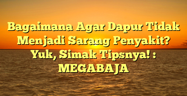 Bagaimana Agar Dapur Tidak Menjadi Sarang Penyakit? Yuk, Simak Tipsnya! : MEGABAJA