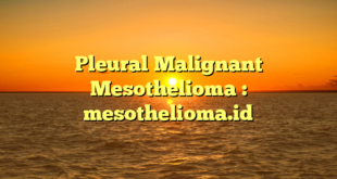 Pleural Malignant Mesothelioma : mesothelioma.id