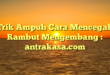 Trik Ampuh Cara Mencegah Rambut Mengembang : antrakasa.com