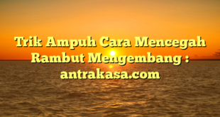 Trik Ampuh Cara Mencegah Rambut Mengembang : antrakasa.com